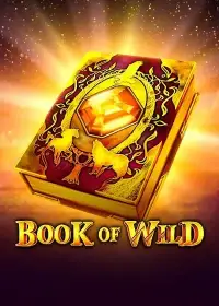 book-of-wind
