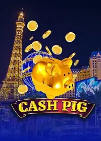 cash-pig